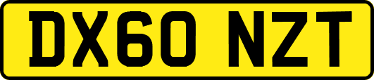 DX60NZT