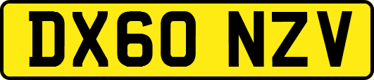 DX60NZV