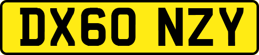 DX60NZY