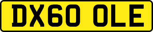 DX60OLE