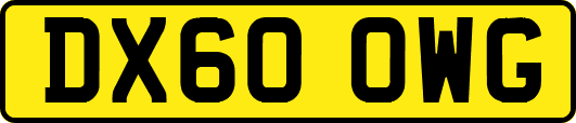 DX60OWG