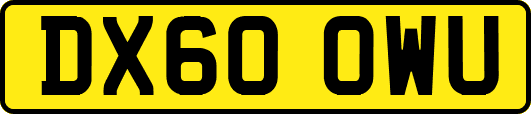 DX60OWU
