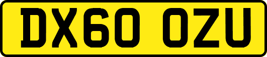 DX60OZU