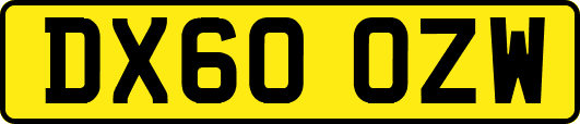 DX60OZW