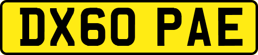 DX60PAE