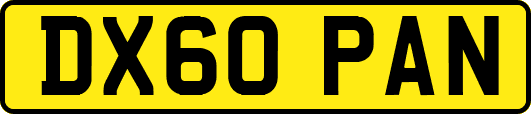 DX60PAN
