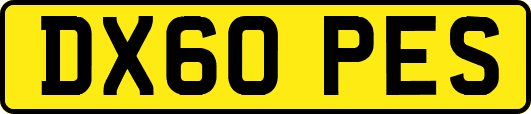 DX60PES