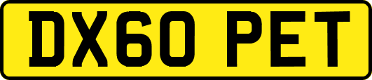 DX60PET