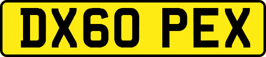 DX60PEX