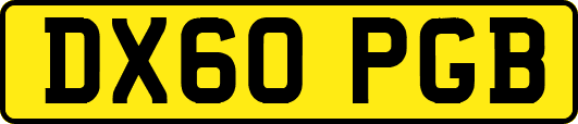 DX60PGB