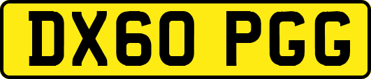 DX60PGG