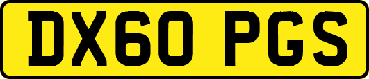 DX60PGS