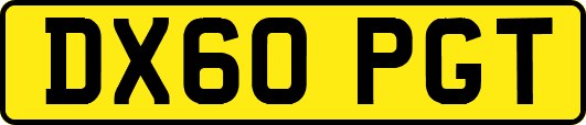 DX60PGT