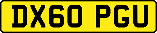 DX60PGU