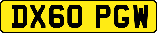 DX60PGW