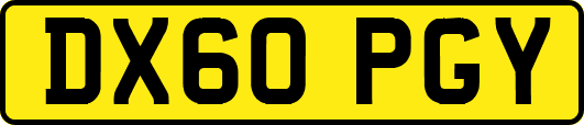 DX60PGY