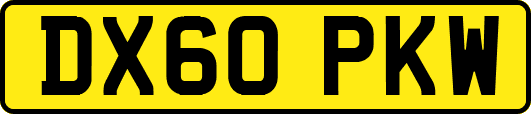 DX60PKW