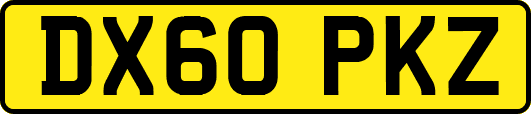 DX60PKZ