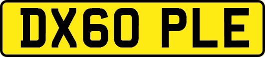 DX60PLE