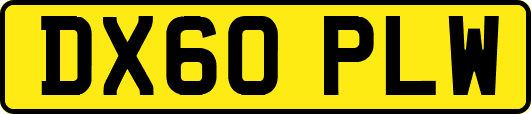 DX60PLW