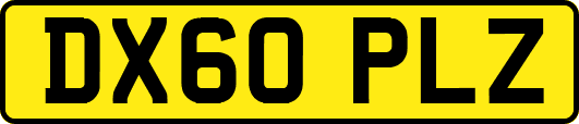 DX60PLZ