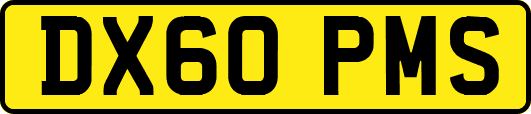 DX60PMS
