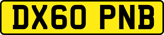 DX60PNB