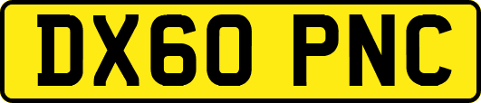 DX60PNC