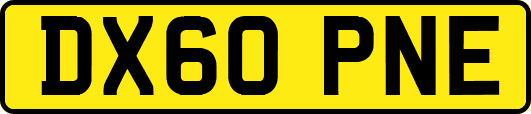 DX60PNE