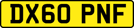 DX60PNF