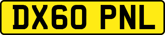 DX60PNL
