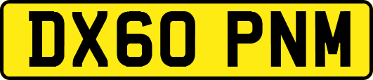 DX60PNM