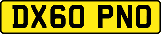 DX60PNO