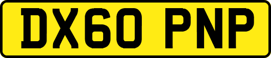DX60PNP