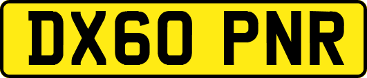 DX60PNR