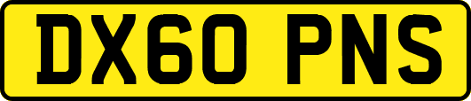 DX60PNS