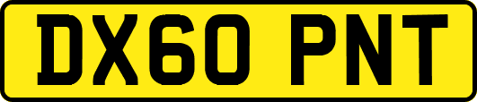 DX60PNT
