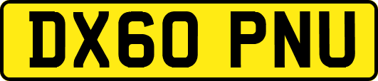 DX60PNU