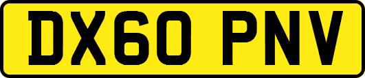 DX60PNV