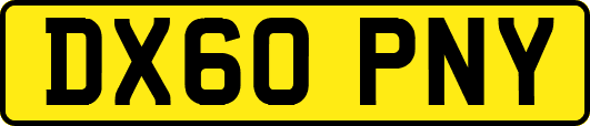 DX60PNY