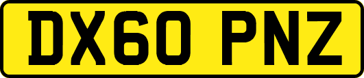 DX60PNZ