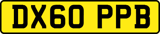 DX60PPB