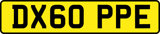 DX60PPE