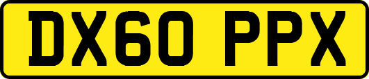 DX60PPX