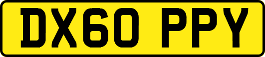 DX60PPY
