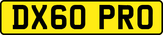 DX60PRO