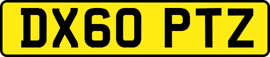 DX60PTZ