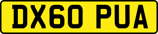DX60PUA