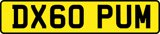 DX60PUM