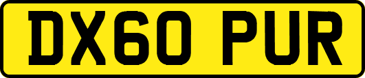 DX60PUR